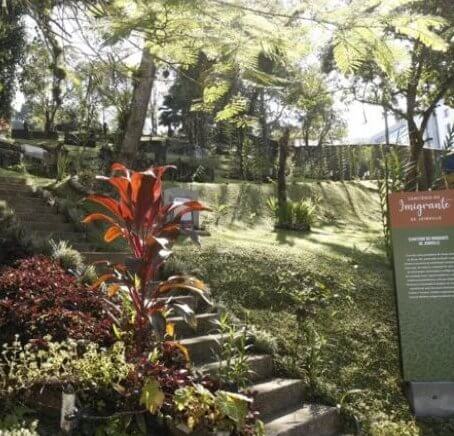  Museu Cemitério do Imigrante ganha novos atrativos para seus visitantes