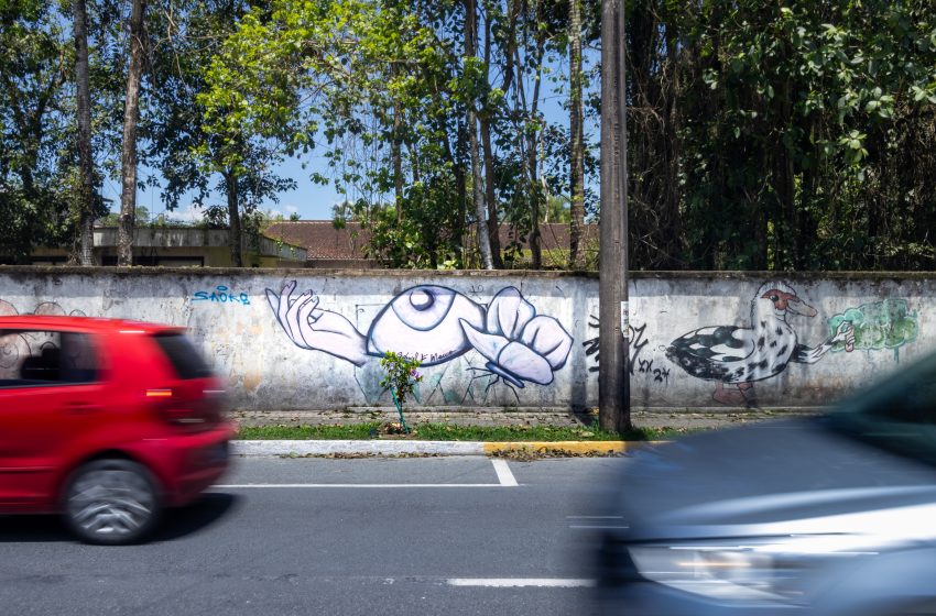  Arte urbana ganha espaço e reconhecimento 