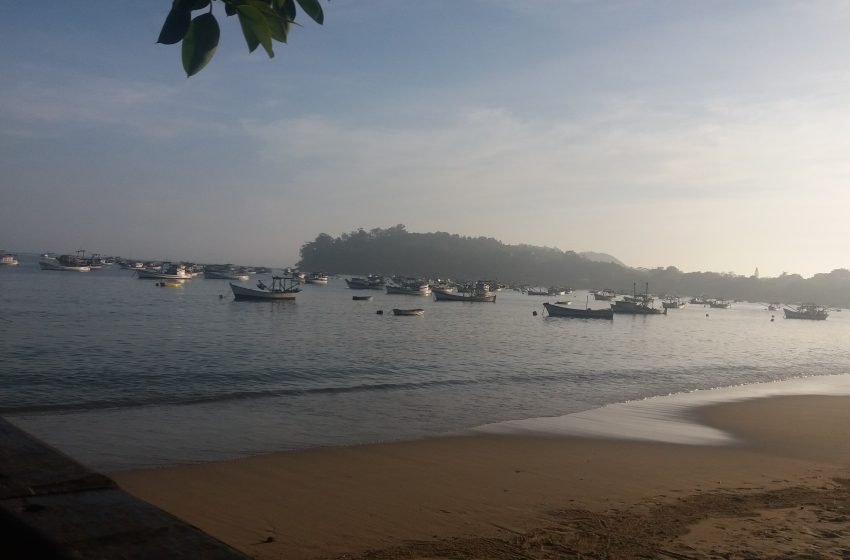 Poluição em oceanos pressiona iniciativas de conservação marinha