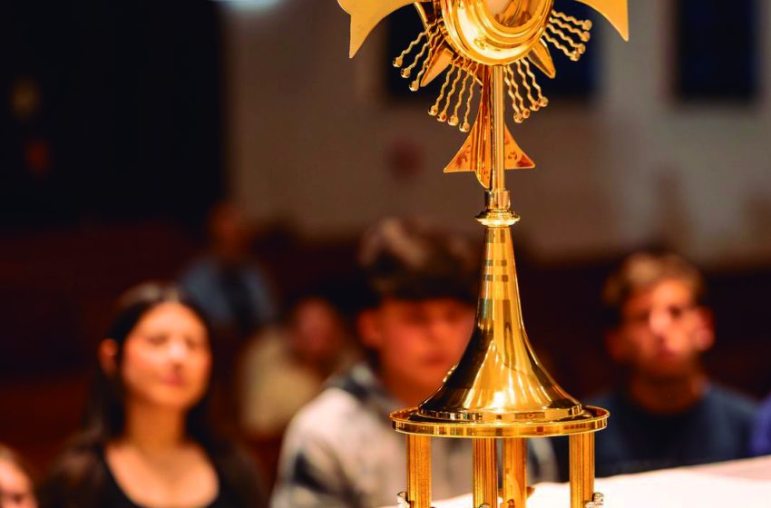  Juventude católica retoma protagonismo nas paróquias 