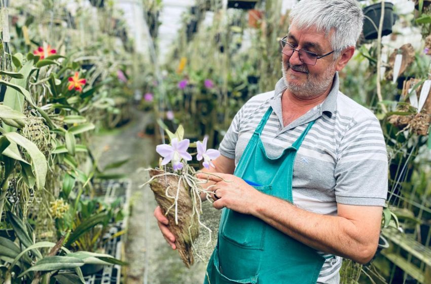  A jornada que virou jardim